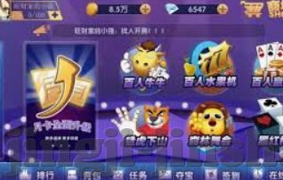 可以观看牌的抢庄牛牛-抢庄牛牛，一场智慧与策略的盛宴