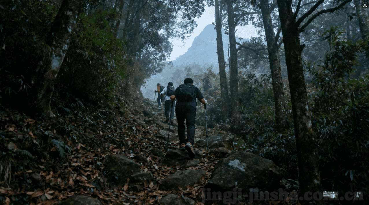 世界杯彩票投注时间-世界杯彩票投注时间，把握机遇，乐享精彩